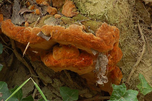 Criticatemi pure senza piet�!